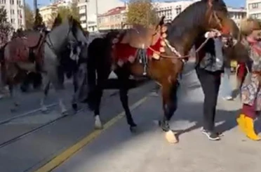 Şehir merkezinde gezdirilen atlar vatandaşları meraklandırdı 