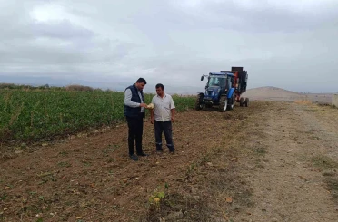 Şeker pancarı hasadı başladı 