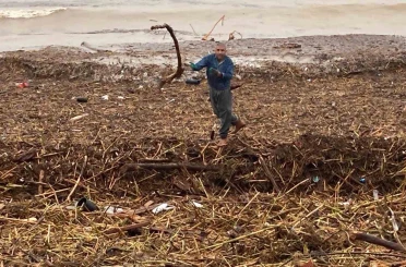 Sel sonrası deniz kahverengi oldu, sahiller odun doldu 