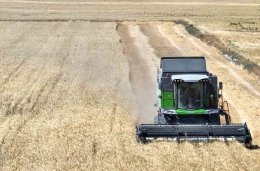 Selçuklu’da atıl araziler değerlendiriliyor; pilot uygulamada ilk hasat yapıldı 