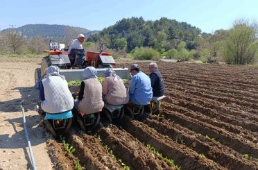 Selendi’de tarım işçisi yevmiyesi 1400 TL oldu 