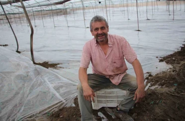 Seralarda yeni sezon üretim için solarizasyon dönemi başladı 