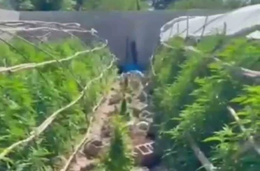 Seraları uyuşturucu üretim tesisine çeviren şahıslara operasyon 