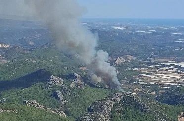 Serik’te ormanlık alanda yangın 
