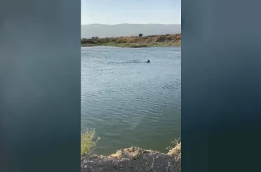 Serinlemek için girdiği göletten cansız bedeni çıktı 