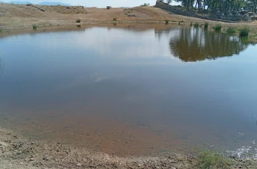 Serinlemek için gölete giren çocuk hayatını kaybetti 