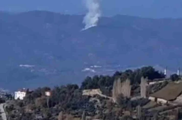 Seydikemer’de orman yangını 