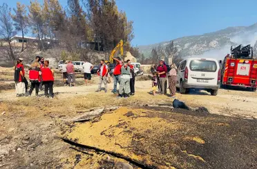 Seydikemer’de yangından etkilenen üreticiler yalnız bırakılmıyor