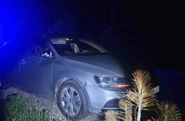 Seyir halindeki otomobile geyik çarptı: 2 yaralı 