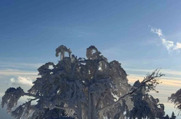 Sibirya değil Çataldağ 