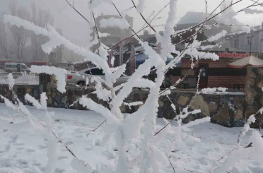 Sibirya soğukları hayatı olumsuz etkiliyor 