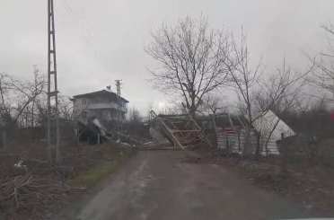 Şiddetli rüzgar ortalığı savaş alanına çevirdi: Yıkılan ağaçlar ve baraka yolu kapattı 