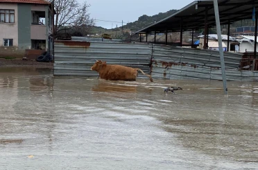Şiddetli yağışlar Kula’da taşkınlara yol açtı 