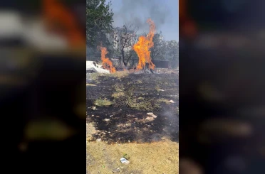 Siirt bir evin bahçesinde çıkan yangın söndürüldü 