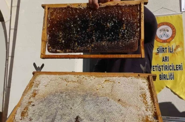 Siirt’te arıcılara 268 milyon 765 bin liralık destek 