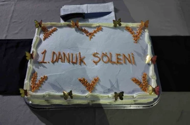 Siirt’te koruma altındaki çocuklarla "Danuk Şöleni" 