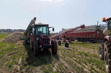 Siirt’te silahla oynayan kişi kazara kendini vurdu 