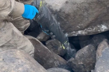 Silah kaçakçılığı operasyonunda 8 kişi gözaltına alındı