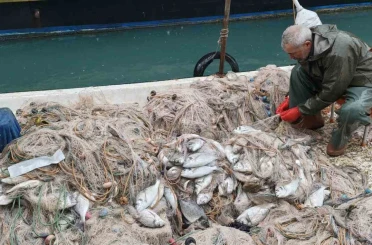 Silifke’de balık çiftliğinin ağı yırtıldı, kıyılar balıkla doldu 