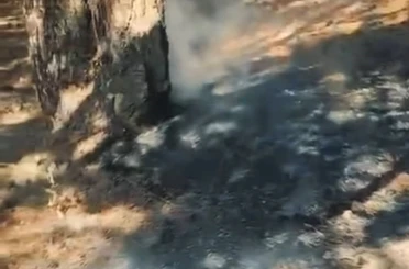 Simav Gölcük mesire alanında korkutan yangın 