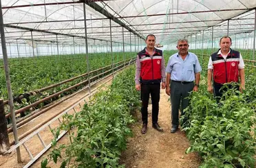Simav’da seracılık faaliyetleri yerinde incelendi
