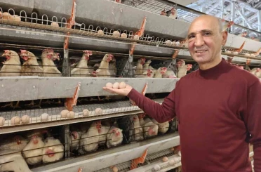 Simav’ın Kuşu beldesinde günlük 15 bin yumurta üretimi 