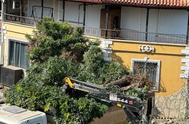 Sındırgı’da yol yapım çalışmaları sırasında ağaçlar söküldü
