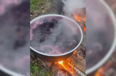 Sinop köylerinde kazanlar kaynıyor: Kışlık pekmez mesaisi 