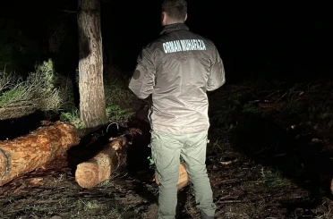 Sinop ormanları gece-gündüz koruma altında 