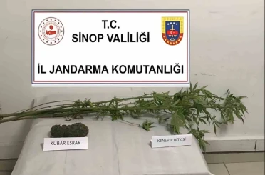 Sinop’ta kenevir ve kubar esrar ele geçirildi 