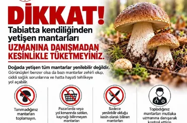 Sinop’ta mantar toplayıcılarına uyarı
