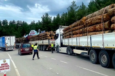 Sinop’ta orman emvali nakilleri denetimi 