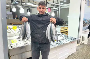 Sinop’ta palamut 50 lira