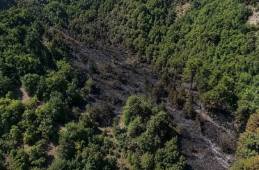 Sinop’taki orman yangını kontrol altına alındı 