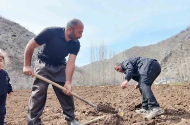 Şırnaklı çiftçi devlet desteğiyle bütün arazisine meyve fidanı dikti 
