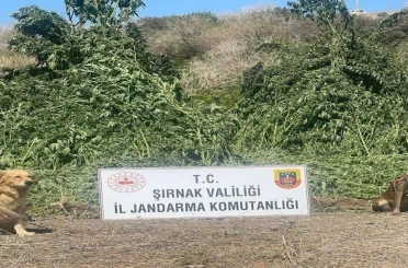 Şırnak’ta 11 milyon liralık kaçakçılık olayı önlendi 