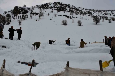 Şırnak’ta bal arıları çığ altında kaldı 