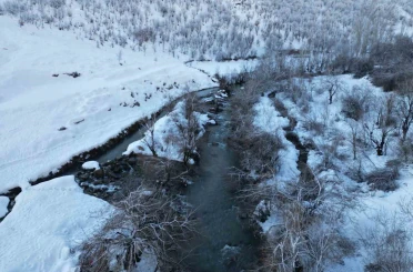 Şırnak’ta dereler buz tuttu 