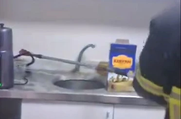 Şırnak’ta iş yerinde yılan paniği 