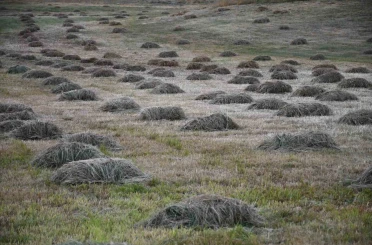 Şırnak’ta kış hazırlığı başladı 
