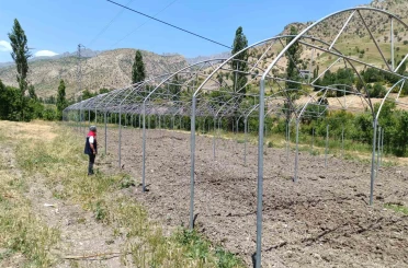 Şırnak’ta sera yatırımları yerinde incelendi 