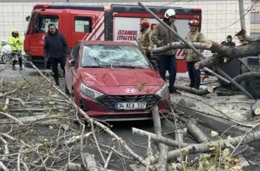 Şişli’de ağaç, park halindeki aracın üzerine devrildi 
