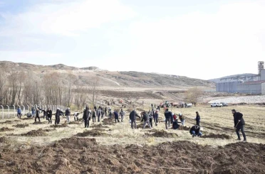 Sivas OSB’de yeşil dönüşüm binlerce fidan toprakla buluşuyor 