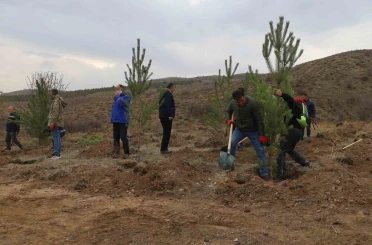 Sivas’ta 58 bin fidan toprakla buluşturuldu 