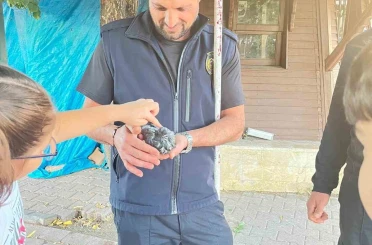 Sivas’ta boruya sıkışan kuşu itfaiye kurtardı 