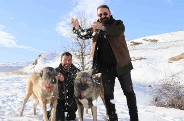 Sivas’ta kar yağdı, kangallar özüne döndü 