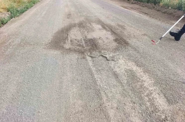 Sivas’ta odun yığınlarının arasına giren yılan itfaiye ekiplerini harekete geçirdi 