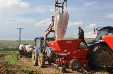 Sivas’ta patates ekim sezonu başladI, hedef 75 bin ton 