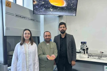 Sivas’ta yerli zeron buğdayından organik bulgur üretildi 