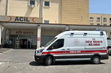 Siverek-Çermik yolunda otomobil yoldan çıktı: 3 yaralı
